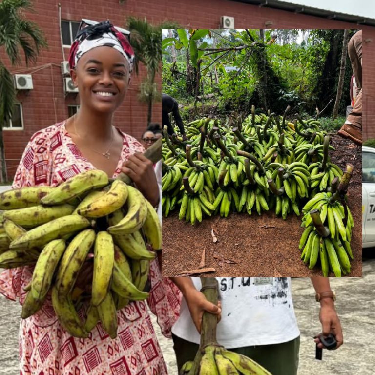 De la scène aux plantations : L’audace entrepreneuriale de Créole la Diva au Gabon